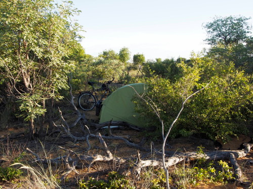 camping in the bush