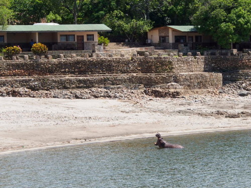 Hippo houses