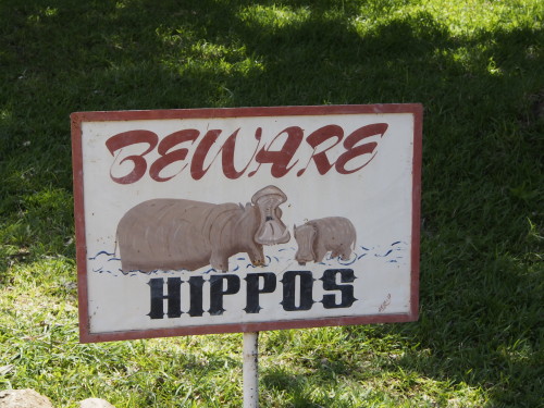hippo warning sign
