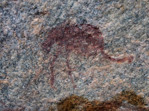 Rock paintings: ostrich