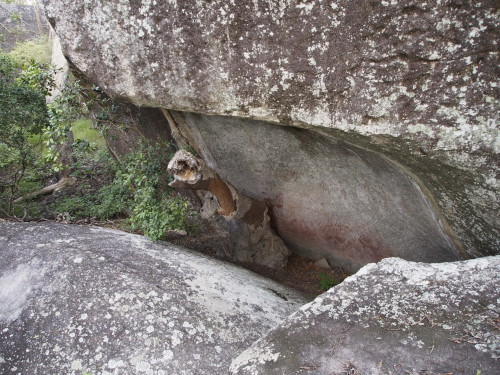 Rock paintings: Rock overhang