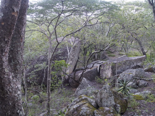 Sliced off rock