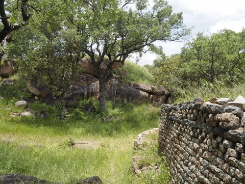 walls in the grass 2