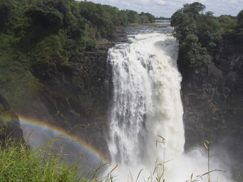 devils cataract