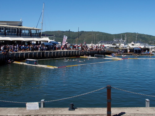 Knysna harbor water polo