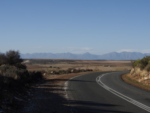 brown landscape