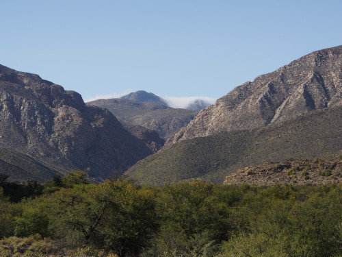 Looking towards Swartberg Pass