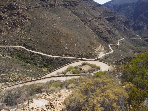 Winding Road 1