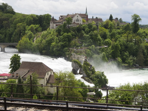 Rhine Falls