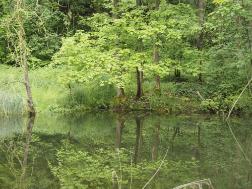 isar pond 2