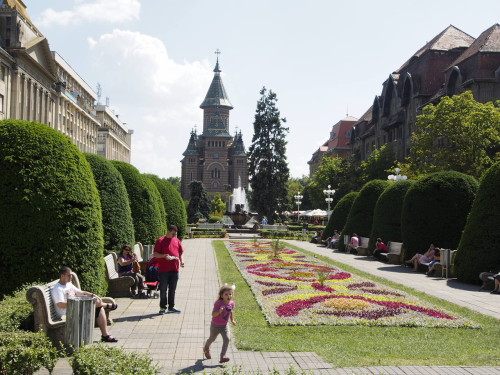 Timișoara center