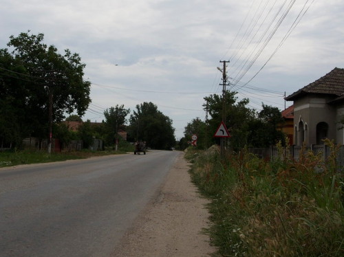 horse carriage in village