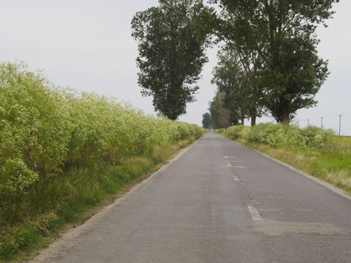 long straight road