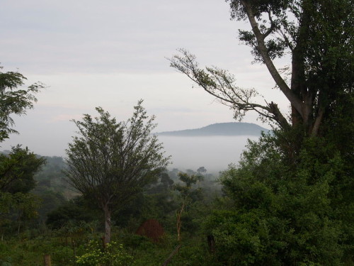 mountains and mist