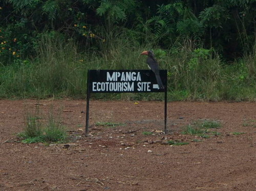 mpanga sign