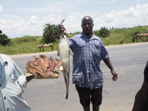 fresh and smoked fish