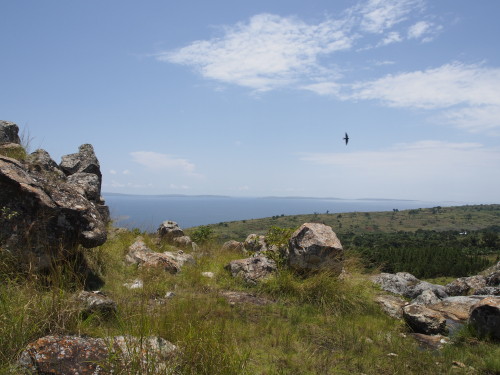 Lake Victoria