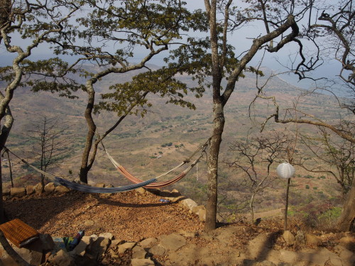 hammocks at mushroom farm
