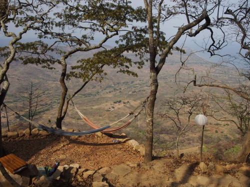 hammocks at mushroom farm