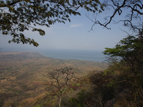 view from mushroom farm