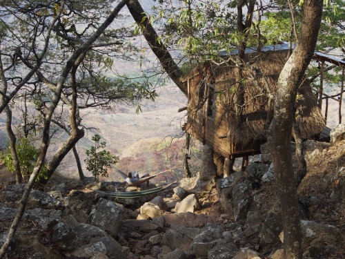 hammock and hut