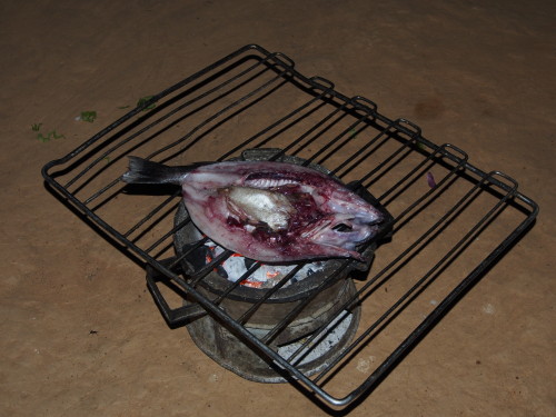 Butterfish on the grill