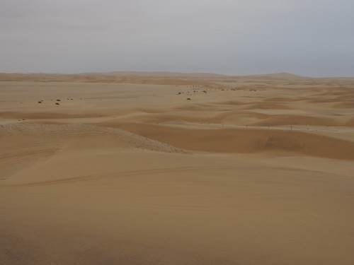 Dunes far