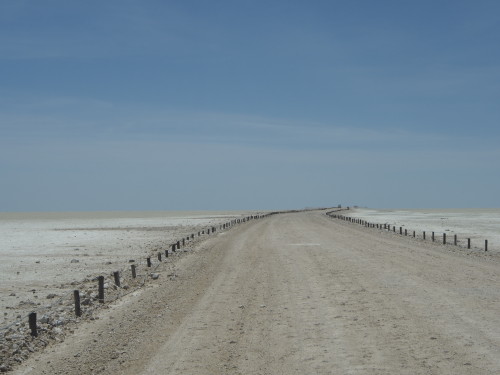 Road into Etosha pan