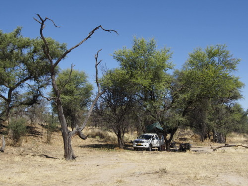 Car with tent